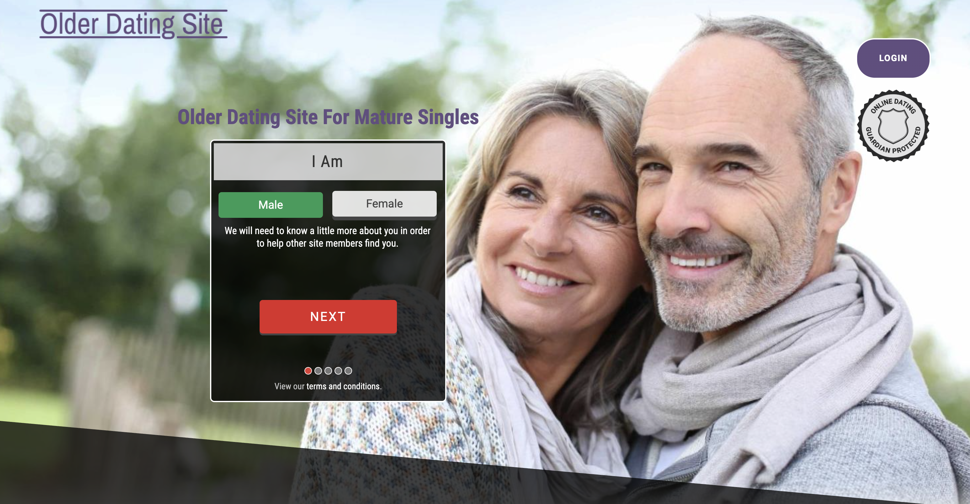 Older Dating Site screenshot